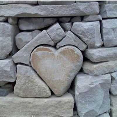 عکس کاور آهنگ ساقی ساقی ای ساقی با صدای زن از الهه