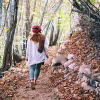 تصویر کاور آهنگ تا میگی سلام با صدای مرد و زن و بچه [اینستا]