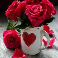 تصویر کاور آهنگ ساده نیست اماده نیست با صدای دختر زن +با گیتار