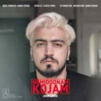 تصویر کاور دانلود آهنگ آرمین سپیدار نمیدونم کجام