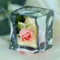 تصویر کاور آهنگ عشقمون تو دنیا لنگه نداره (حسود از افسانه)