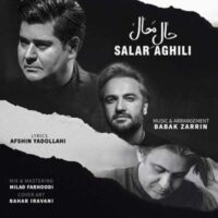 تصویر کاور آهنگ دلم مثل دلت خونه شقایق با صدای داریوش + کنسرت