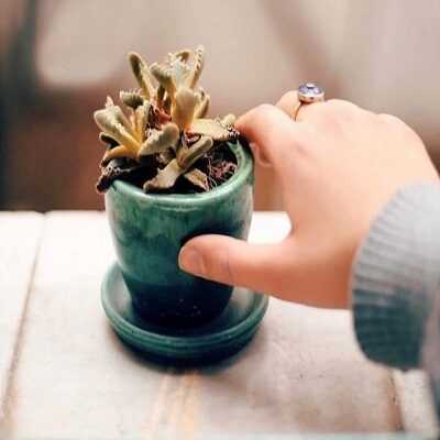 عکس کاور آهنگ یک نفس ای پیک سحری ورژن خواننده اصلی از پروین (با صدای زن)