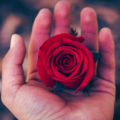 عکس کاور آهنگ شما خونتون مورچه داره با صدای خواننده زن از مونالیزا (قدیمی، ریمیکس)