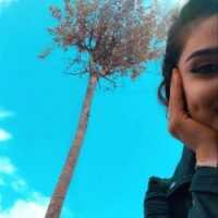 تصویر کاور اهنگ فریبا فریبا دل آرام زیبا از شهاب مقامی