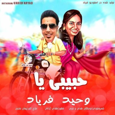 عکس کاور دانلود آهنگ وحید فریاد حبیبی یا (ناری ناری)
