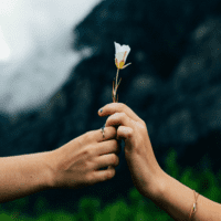 تصویر کاور آهنگ بر گیسویت ای جان کمتر زن شانه از مرسده