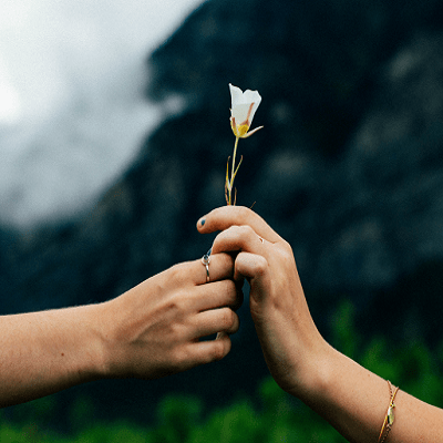 عکس کاور آهنگ بر گیسویت ای جان کمتر زن شانه از مرسده