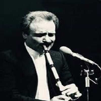 عکس کاور دانلود آهنگ چکاوک همایون (بیکلام) از محمد موسوی