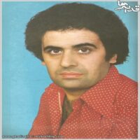 تصویر کاور آهنگ زمستون تن عریون باغچه از افشین مقدم+ریمیکس