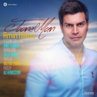 تصویر کاور دانلود آهنگ امین نیکو جون من