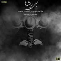 تصویر کاور دانلود آهنگ بی ریشه ها با صدای امیر تتلو