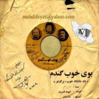 تصویر کاور دانلد آهنگ کفتر کشته پروندن نداره با صدای داریوش