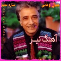 تصویر کاور دانلود آهنگ جمال وفایی نیر دیگه بسه ورژن قدیمی اصلی