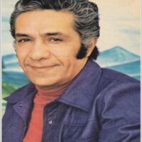 تصویر کاور آهنگ سیمین بری گل پیکری اری از جمشید شیبانی و مسعود محمد نبی