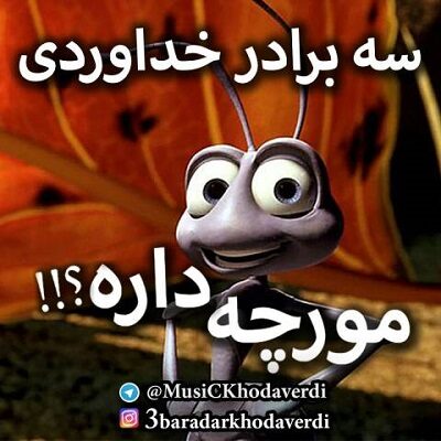 عکس کاور ریمیکس آهنگ شما خونتون مورچه داره سه برادر خداوردی (ورژن جدید)