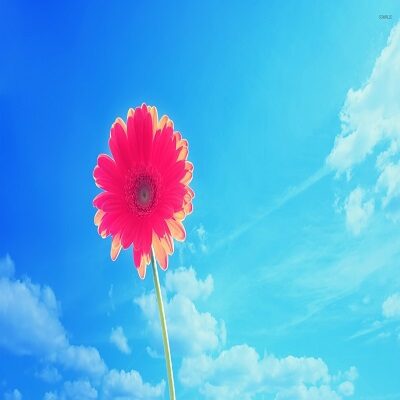 عکس کاور آهنگ خدا کنه یادت نره با صدای زن از دی جی مریم