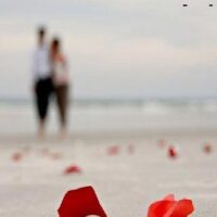 تصویر کاور آهنگ خدا چرا عاشق شدم من با صدای اندی