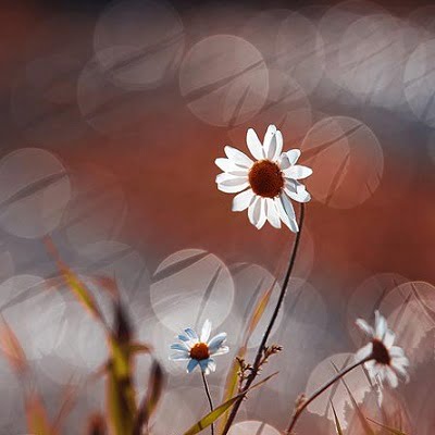 عکس کاور آهنگ واسونک شیرازی با صدای زن ترند اینستا آروم