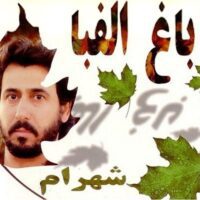 تصویر کاور آهنگ اگه باور نداری چقدر تو قلبم جا داری از شهرام شب پره