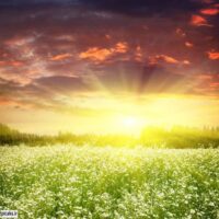 تصویر کاور دانلود آهنگ ساده بودی مثل سایه با صدای ابی + ریمیکس