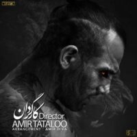 تصویر کاور دانلود آهنگ کارگردان با صدای امیر تتلو