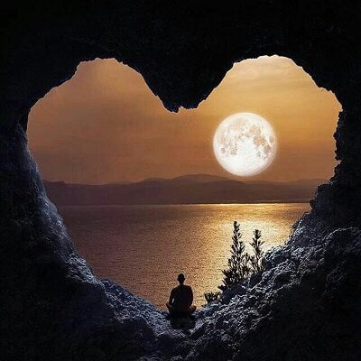 عکس کاور دانلود آهنگ شقایق با صدای اندی