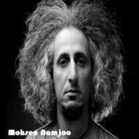 تصویر کاور آهنگ دلا دیدی که خورشید از شب سرد از محسن نامجو