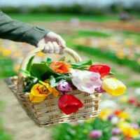 تصویر کاور آهنگ خوشگلا باید برقصن از اندی + ریمیکس دیجی سونامی