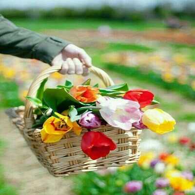 عکس کاور آهنگ خوشگلا باید برقصن از اندی + ریمیکس دیجی سونامی