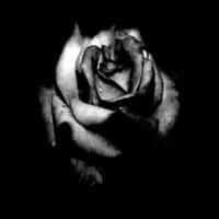 تصویر کاور اهنگ ساناز و هایده اما افسوس تورو خواستن دیگه دیره با صدای زن