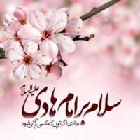 تصویر کاور دانلود مولودی های ولادت امام هادی (یکجا)