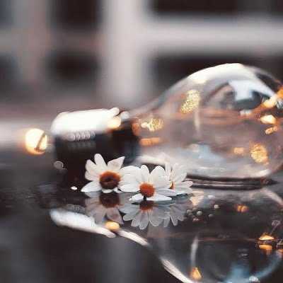 عکس کاور دانلود آهنگ خارجی لوکا لوکا لوکا mp3 جنیفر لوپز