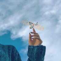 تصویر کاور دانلود اهنگ امشو شو لغزشه فرشید حکمتی کاملش