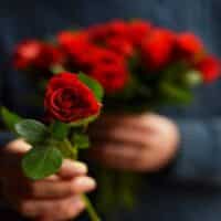 تصویر کاور آهنگ سیمین بری با صدای زن (سارا، فائزه، تارا و غزل) اینستاگرام