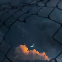 تصویر کاور آهنگ دیگه عاشق شدن ناز کشیدن فایده نداره با صدای زن از هایده