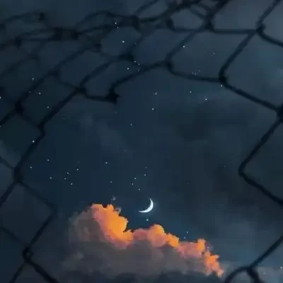 عکس کاور آهنگ دیگه عاشق شدن ناز کشیدن فایده نداره با صدای زن از هایده