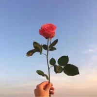 تصویر کاور آهنگ من ته سرباز و ته چودار ریمیکس و با گیتار از رضا کرد و علی رمضانپور