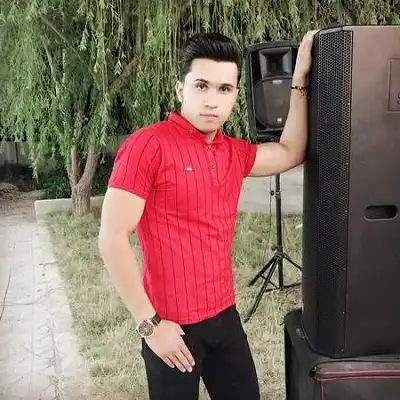 عکس کاور اهنگ زهرای شیرازی مصطفی ابراهیمی و سعید اورنگی