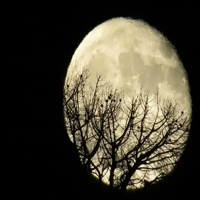 عکس کاور دانلود اهنگ از بزم طرب باده گساران همه رفتند معین