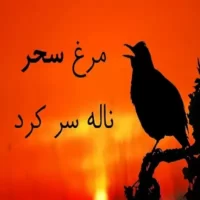 تصویر کاور آهنگ مرغ سحر مرضیه، شکیلا، هایده با صدای زن
