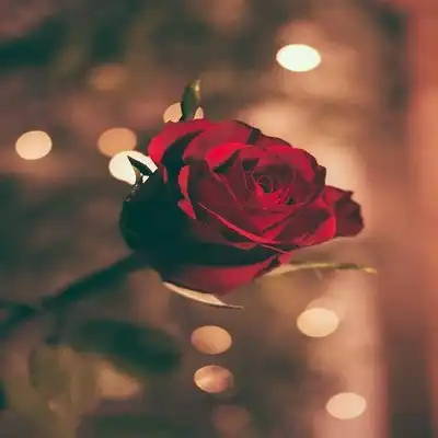 عکس کاور آهنگ چقدر امشب دلم طالب سرمستیه مرتضی جوان ریمیکس اینستاگرام