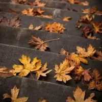 تصویر کاور آهنگ چقدر امشب دلم طالب سرمستیه از ندا علیزاده با صدای زن