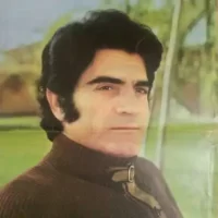 تصویر کاور آهنگ گریه نکن که سرنوشت (نفرین از ویگن و آرتوش) ریمیکس و قدیمی