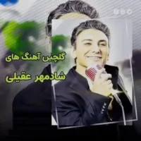 تصویر کاور دانلود گلچین آهنگ های پرطرفدار شادمهر یکجا+20 آهنگ برتر با ریمیکس