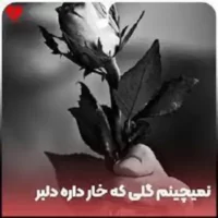 تصویر کاور دانلود آهنگ نمیچینم گلی که خار داره دلبر غمگین بلوچی