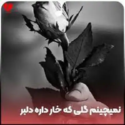 عکس کاور دانلود آهنگ نمیچینم گلی که خار داره دلبر غمگین بلوچی