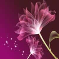 تصویر کاور آهنگ پری زنگنه و شهلا سرشار جینگ و جینگ