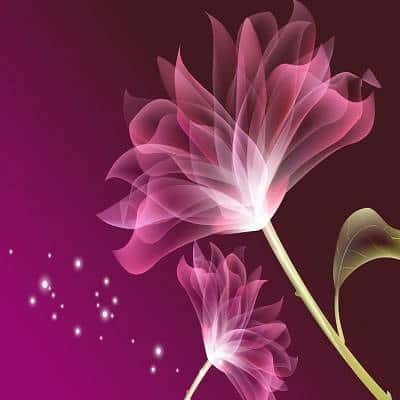 عکس کاور آهنگ پری زنگنه و شهلا سرشار جینگ و جینگ