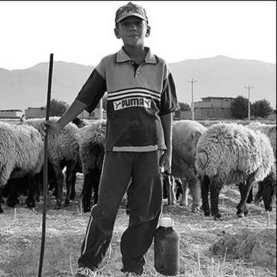 عکس کاور آهنگ با صدای پسر بچه چوپان هرگز نمیشد باورم {سروش رضایی}